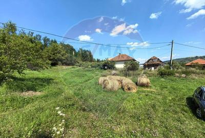 Casa cu teren generos de 62 ari Berin?a, Maramure? - 2