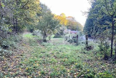 Teren pentru casa de vacanta pe Valea Bratcutei, Bihor - 4