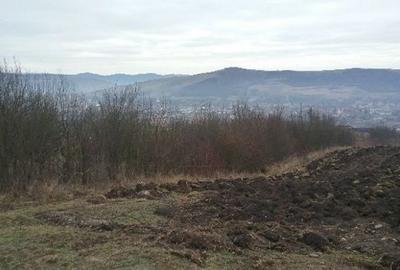 Teren de 5063 mp, în Lechința - 1
