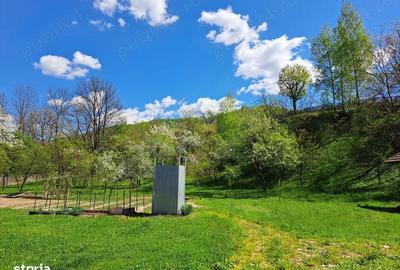 Casă cu 4 camere în Costești (Albac) - 4