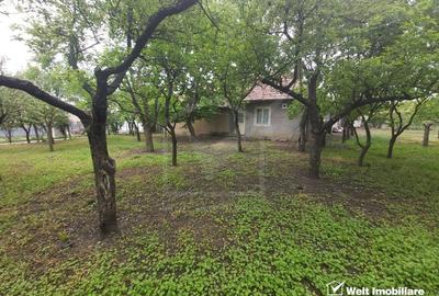 Casă individuală cu 3 camere cu Canalizare în Ceanu Mic - 27