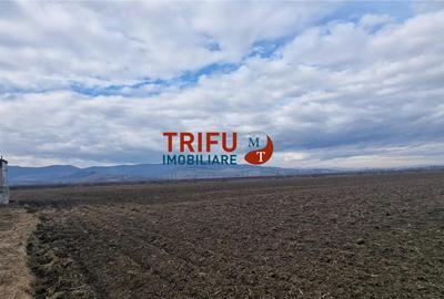 Teren de 1600 mp, în Industrială - 6
