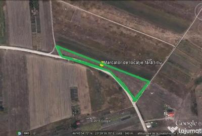 Teren de 8000 mp, în Sopor - 1