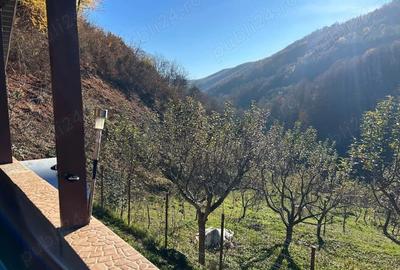 Casă cu 1 camere cu Teren 37500 Mp în Poderei - 5