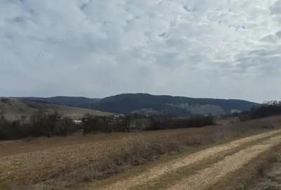 Teren 2282 mp, extravilan, localitatea Fasca, comuna Varciorog, jud. Bihor - 7