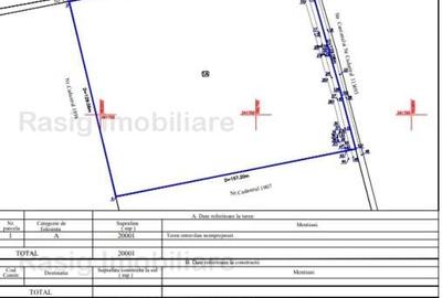 Teren Construcții intravilan de 20001 mp, în Corbeanca - 3