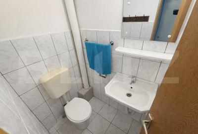 Apartament cu 3 camere decomandat, mobilat în Triaj - 8