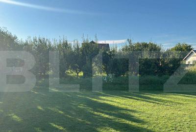 Casa spa?ioasa cu teren generos, Unirea 28 ari, 230 m - 6