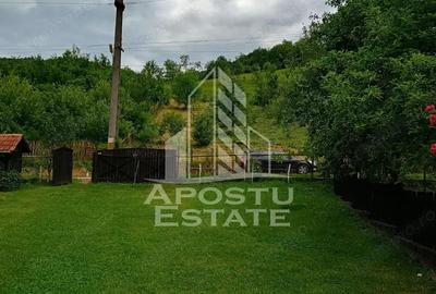 Casa batraneasca de vanzare | 4 camere | Hunedoara | Micane?ti - 16