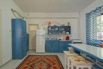 Casa / Vila cu 6 camere, in inima naturii, comision zero pt cumparator - 16