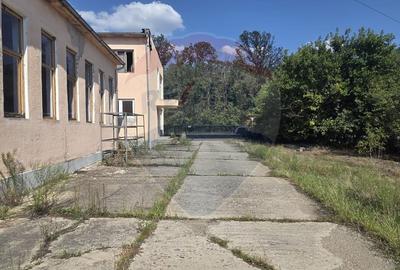 Spațiu industrial, de 2,254 mp, în Tinca - 7