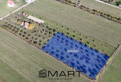 Livada 3000mp, pozitie superba, zona Orlat
