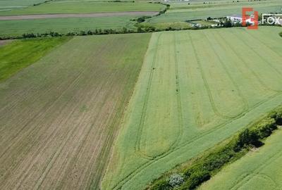 COMISION 0% Oportunitate de investitie in Sacalaz: Teren Extravilan de 9.900MP - 2