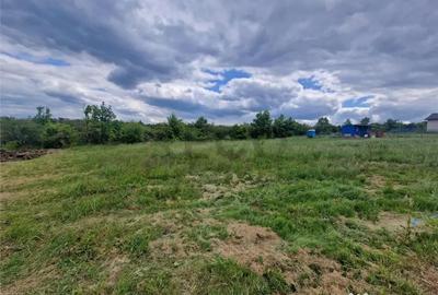 Teren de 500 mp, în Săldăbagiu de Munte - 1