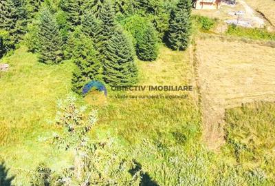 Teren TARCǍU - SCHITU,judetul NEAMȚ - 4