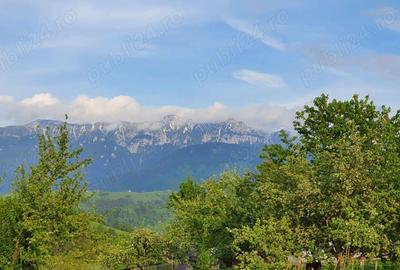 Teren extravilan sat pestera jud brasov - 3