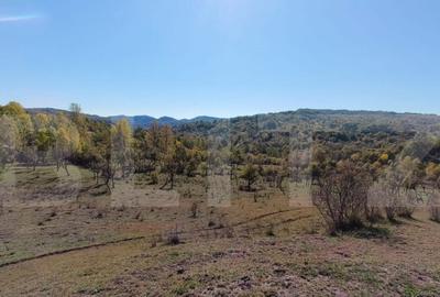 Teren extravilan cu priveli?te superba , livada ?i poten? - 3