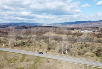 Teren de 11931 mp, în Vălenii de Munte - 2