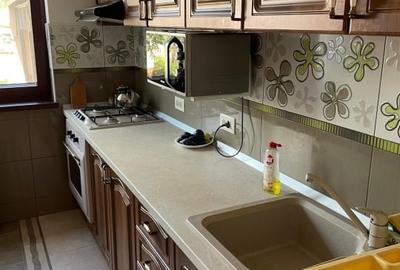 Casa de vanzare in IZVIN jud. Timis - 6