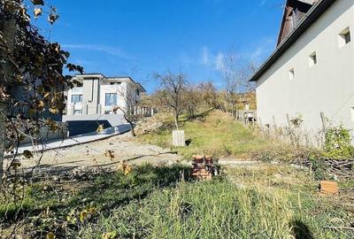 Teren de 3600 mp, în Podgoria - 1