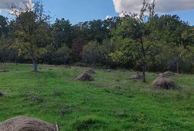 Teren de 16286 mp, în Runcu Mare - 3