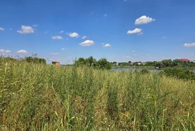 Teren Construcții intravilan de 7000 mp, în Snagov - 4