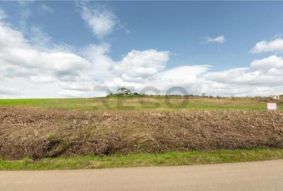 Teren de 2600 mp, în Cetariu - 8