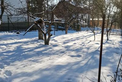 Casă cu 8 camere cu Teren 1034 Mp în Cioplea - 7