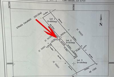 Teren de 1616 mp, în Dascălu - 1