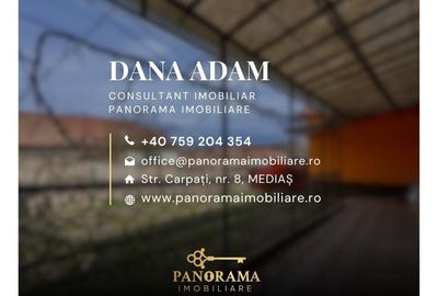 Casă individuală cu 3 camere cu Canalizare în Șeica Mare - 20