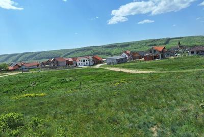 Spațiu comercial, în Betfia - 3