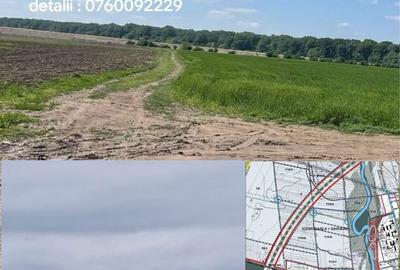 Spațiu comercial, în Ciorogârla - 3