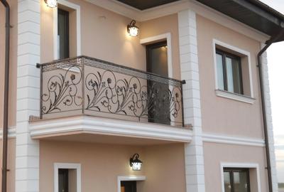 Domnesti, Ilfov - 1