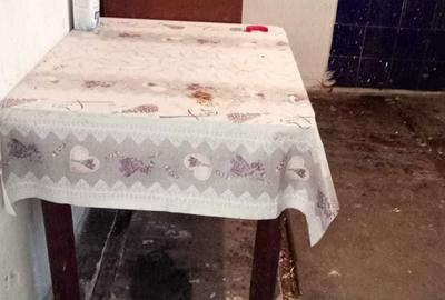 Casă cu 3 camere cu Teren 110 Mp în Plopi - 4