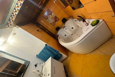 Apartament la casa, 98 mp utili,  D+P+M, Turnisor  pretabil unui cuplu! - 11