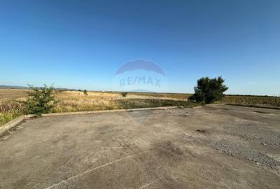 Teren extravilan de vanzare - 19.963 mp, E68 Mandruloc-Vladimirescu - 9