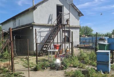 Casă cu 4 camere în Zădăreni - 9