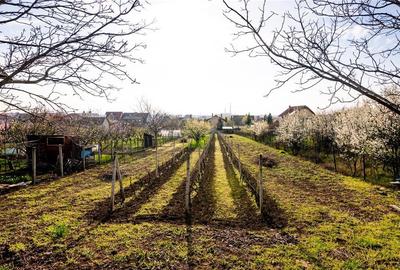 Teren Construcții intravilan de 1500 mp, în Oncea