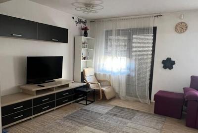 Fermei-Echinoctiului-Casa de inchiriat-160 mp utili-curte 100 mp - 6