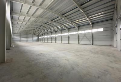Hala productie, depozitare, showroom, 600-1746mp, Parc Miroslava - 5