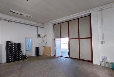 Hala de depozitare in Arad Sud - 3