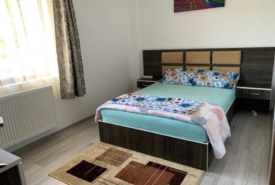 Apartament cu 2 camere în Bucium - 4
