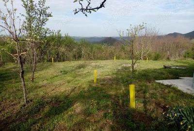 Casă cu 2 camere cu Teren 8000 Mp în Barbura - 4