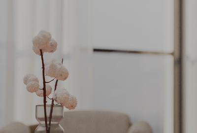 2 camere 153562 EURO cu TVA inclua - 10