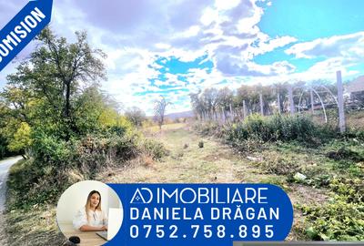 Teren intravilan de 2905 mp, în Bălănești - 1