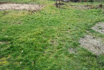 Teren intravilan Dumbrava - 3