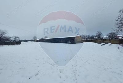 Casă cu 5 camere cu Teren 7531 Mp în Sacu - 7