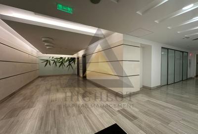 INCHIRIERE BIROU INDIVIDUAL - BUCURESTI NORD - 10