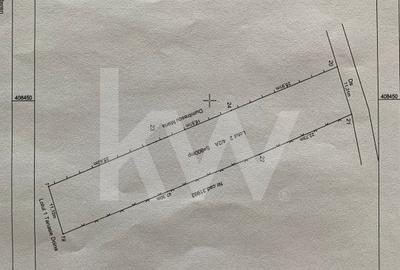 Vatra de casa si plantatie de vita de vie - 4