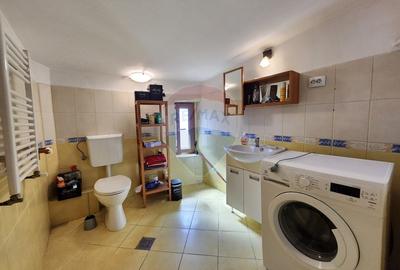 Apartament tip mansarda ultraspatios Polona | St. Cel Mare | Romana - 10